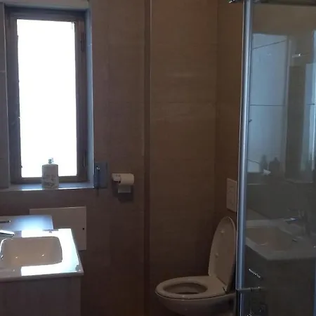 The Shelter Apartment